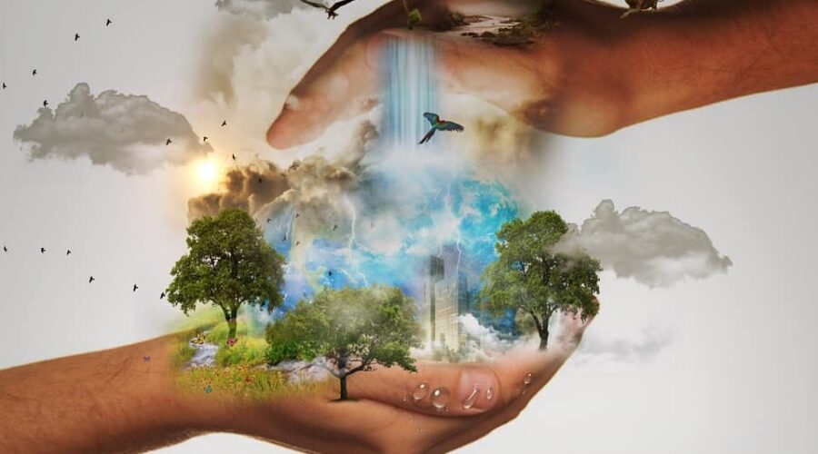 conservacion-biodiversidad