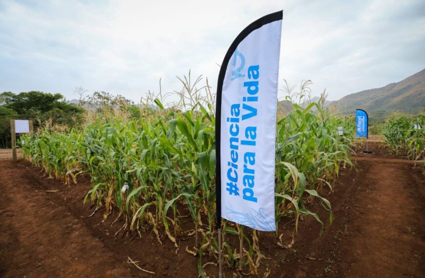 Venezuela avanza en materia de investigación e innovación científica para el desarrollo agrícola y productivo