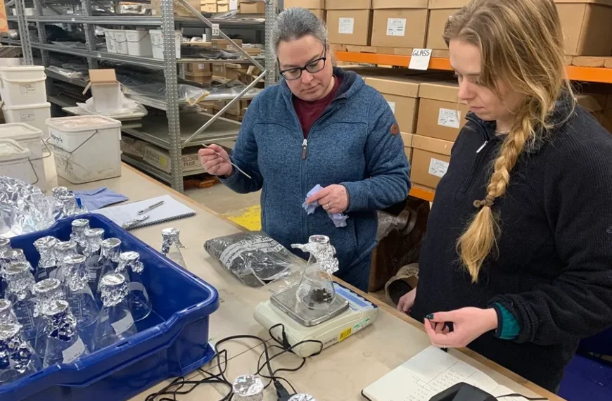 Científicos encuentran presencia de microplásticos en muestra de suelo antiguo