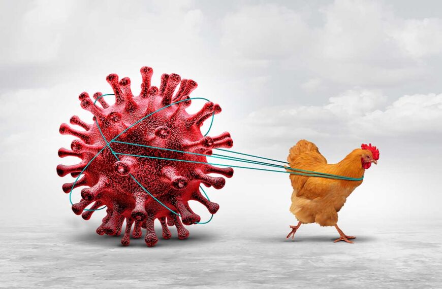 Gobierno Bolivariano mantiene vigilancia permanente ante amenaza global de la influenza aviar H5N1