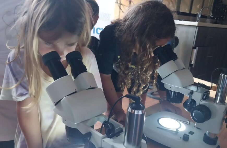 Fundacite fortalece conocimientos científicos y tecnológicos de los niños en Nueva Esparta