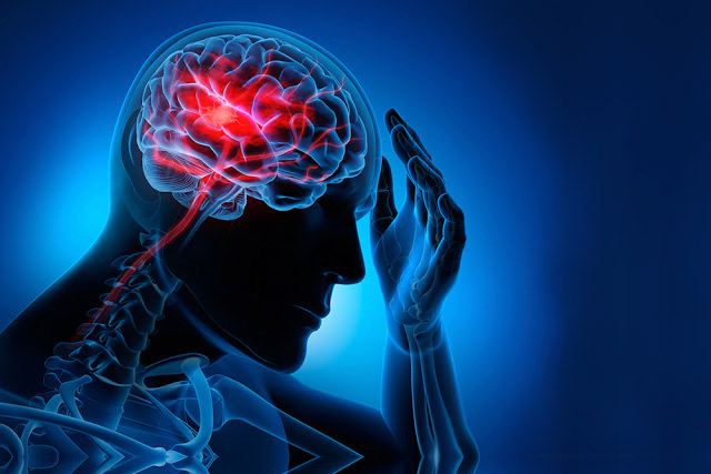 taller-enfermedades-neurologicas-contenido