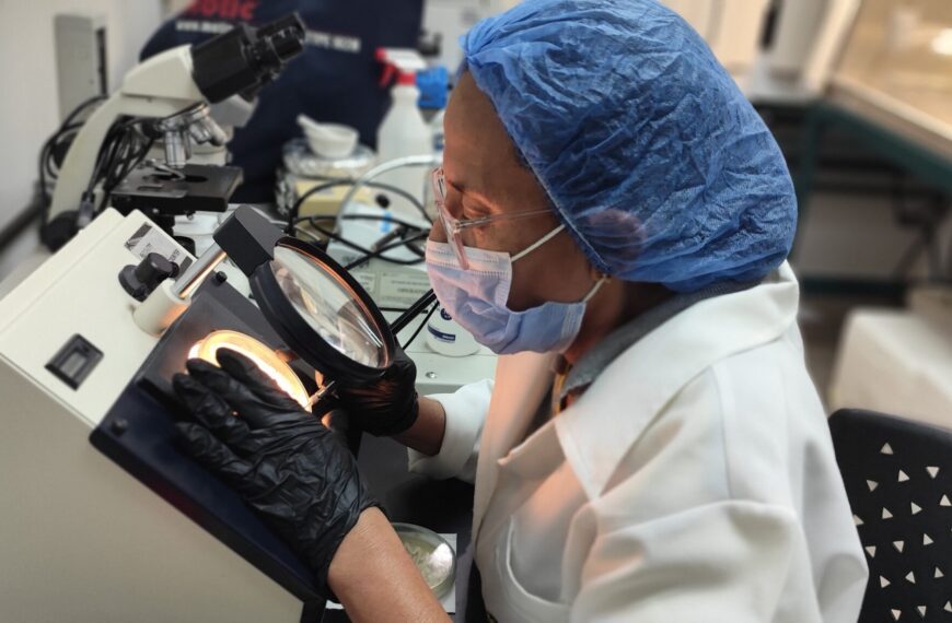 Fundación CIEPE avanza en el desarrollo de bebida probiótica a base de auyama