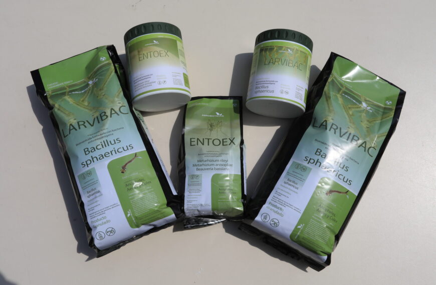 Venezuela desarrolla Bioinsecticidas para contrarrestar enfermedades transmitidas por mosquitos