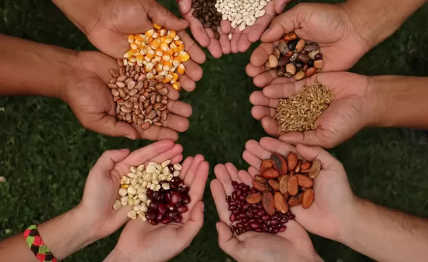 Fundacite Lara promueve formación en semillas agrícolas y biológicas