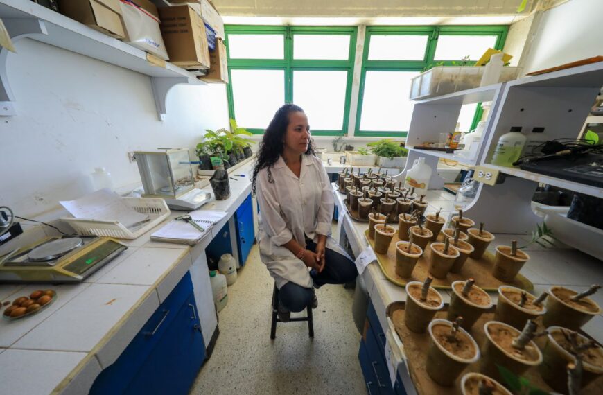Diversificación Alimentaria en Venezuela: un enfoque en especies subutilizadas
