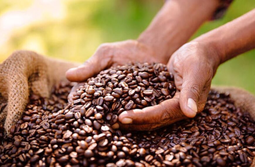 Productores de Trujillo participan en taller sobre café y agroecología