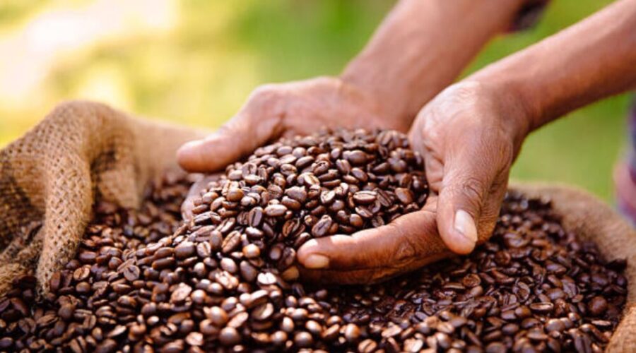 Presentan-Proyecto-de-Ley-del-Cafe-en-la-AN-1000x600-1