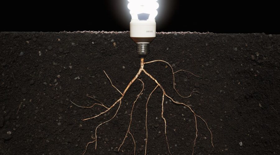 energy-efficient-lightbulb-growing-from-plant-roots-royalty-free-image-1711487102