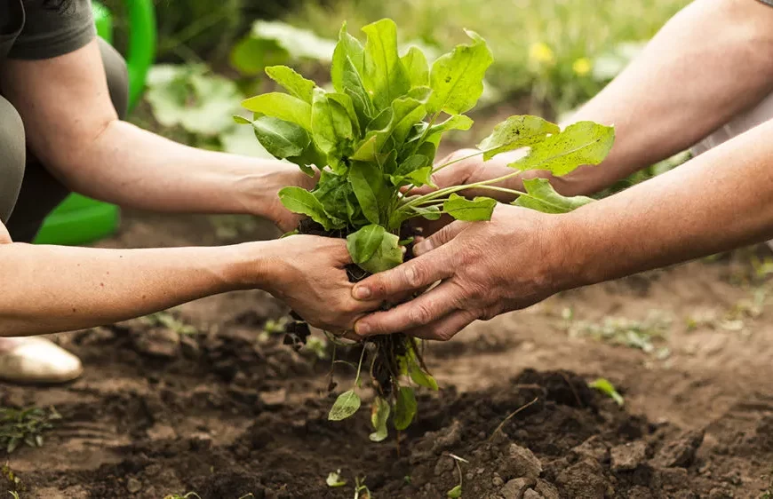 Realizan jornada de formación en ciencia y tecnología agrícola en Táchira