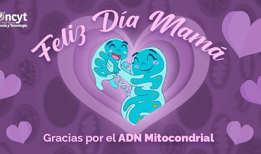 ADN mitocondrial y su relación con los ancestros femeninos