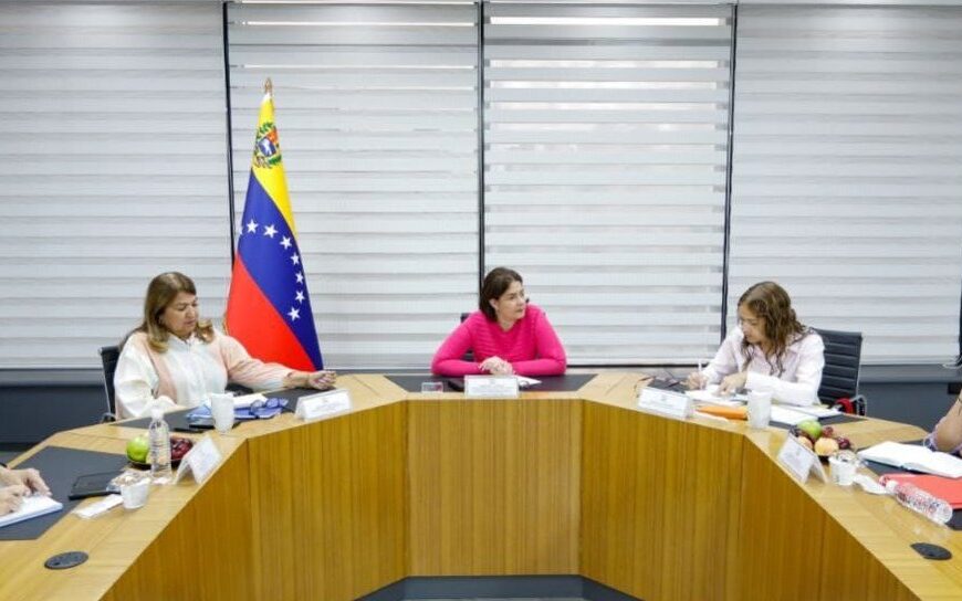 Vicepresidencia Sectorial de Ciencia, Tecnología, Educación y Salud evalúa planes de atención social