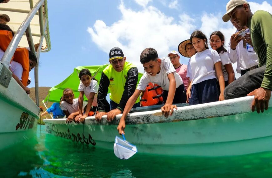 Semilleros Científicos de Sucre participan en jornada de liberación de caballitos de mar en Parque Nacional Mochima
