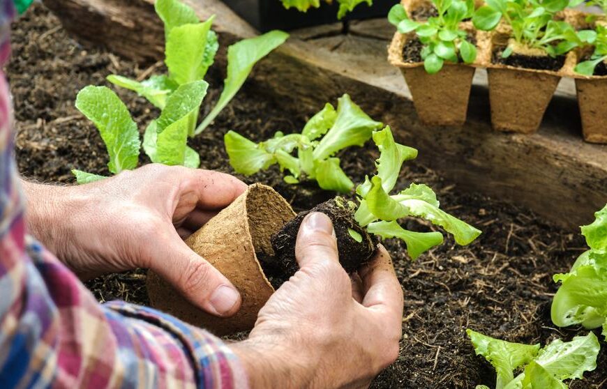 Productores de Bolívar se forman para el uso de biocontroladores y técnicas de cultivo